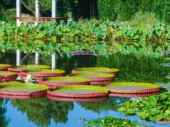 -国家植物园南园