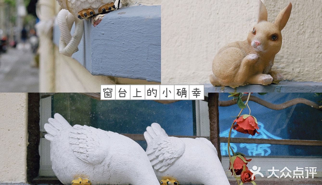 窗台上的小确幸🐇🦉🐌🌿🌹