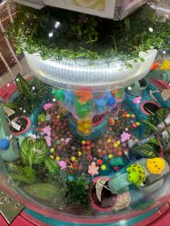 -莫莉幻想儿童乐园(长春迅驰广场店)