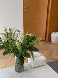 -HEYAN荷妍专业脱毛连锁机构