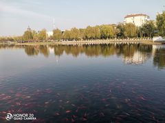 -西海子公园