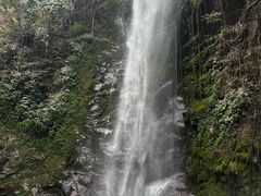 -莫里热带雨林景区