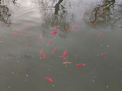-迎泽公园