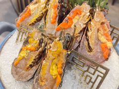 -喜聚薈·花膠雞海鮮火鍋(越秀店)