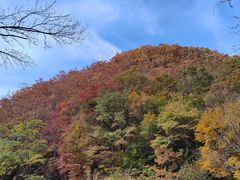 -关门山森林公园