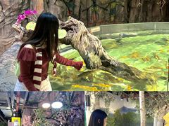 -正佳雨林生态植物园