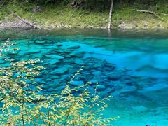 -西姆山居酒店(九寨沟沟口店)