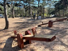 -北京西山国家森林公园