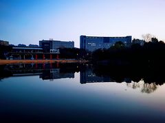 -青枫公园