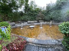 -杭州第一世界大酒店·云曼温泉