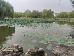 -南翠屏公园