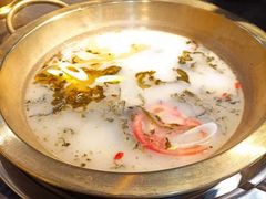 -土著渔匠·养生蝴蝶鱼(香樟路店)