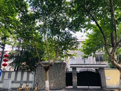 -颐和路民国时期公馆风貌区