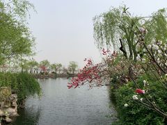 -无锡蠡湖国家湿地公园-蠡园