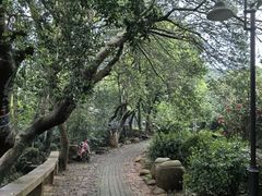 -东山风景区(洞庭东山)