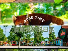 -常州淹城野生动物世界