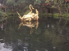 -海口火山口国家地质公园