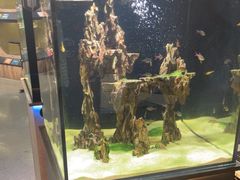 -宠物世家(仲盛世界商城店)