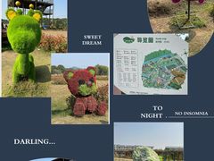 -苏州太湖西山岛开心农场