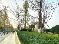 -府河摄影公园