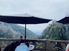 -韬光茶庵