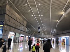 -青岛胶东国际机场