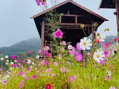 -沂蒙山旅游区云蒙景区(蒙山国家森林公园)