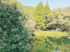 -国家植物园南园