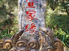 -北海金海湾红树林生态旅游区