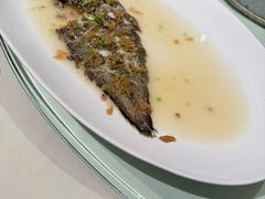 笋壳鱼-利苑酒家(金宝店)