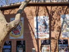 -西安电影制片厂