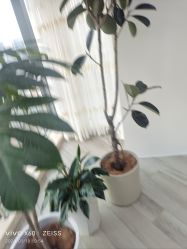 -HEYAN荷妍专业脱毛连锁机构