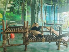 -五龙山野生动物王国