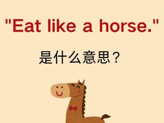 -引领英语·成人口语·雅思托福