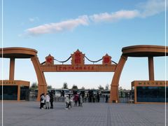 -金塔沙漠胡杨林景区