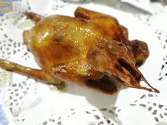 -石岐乳鸽村(南海第三分店)
