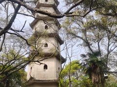 -江心屿景区