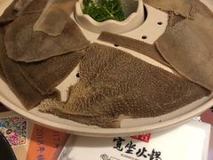 -宽坐火锅(万象城店)