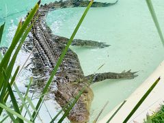 -费瑟代尔野生动物园