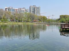 -新江湾城公园