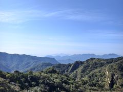 -大岭沟猕猴桃谷风景区