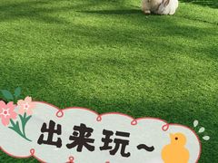 -洛阳市牡丹公园
