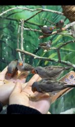 -Zoolung Zoolung动物主题公园(海信广场店)