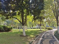 -天鹅湖体育公园