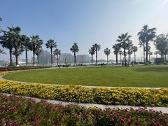 -金沙湖公园