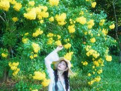 -深圳国际园林花卉博览园