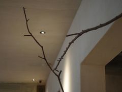 -山野咖啡(之江花园店)