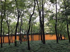 -西园戒幢律寺