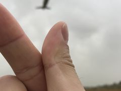 -空港花田景区