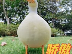 -花开海上生态园